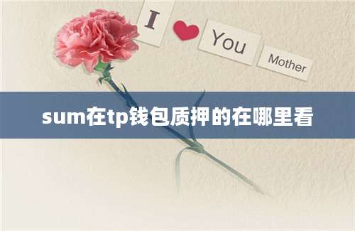 sum在tp钱包质押的在哪里看