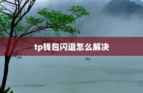 tp钱包闪退怎么解决