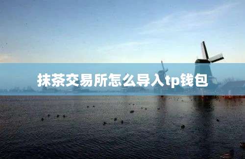 抹茶交易所怎么导入tp钱包