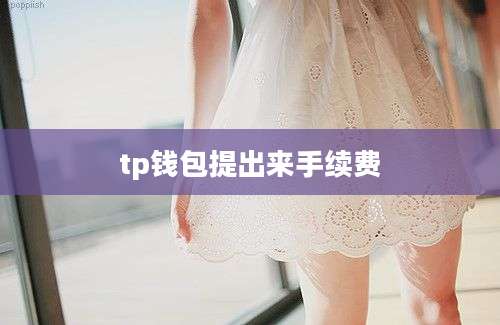 tp钱包提出来手续费