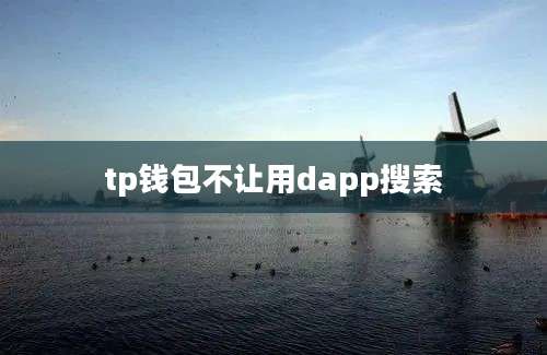 tp钱包不让用dapp搜索