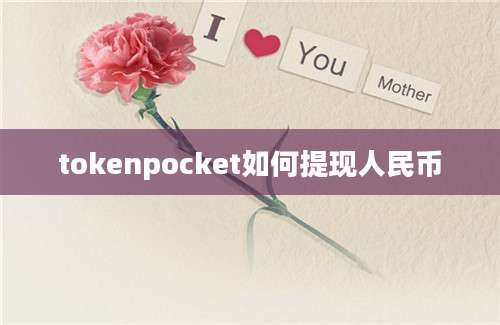 tokenpocket如何提现人民币