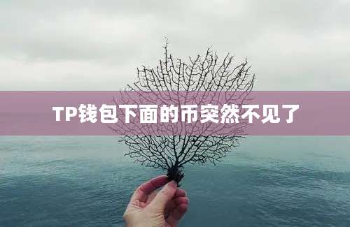 TP钱包下面的币突然不见了