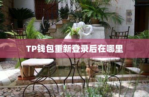 TP钱包重新登录后在哪里