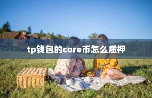 tp钱包的core币怎么质押