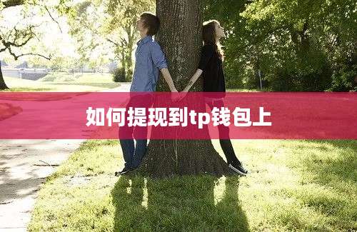 如何提现到tp钱包上