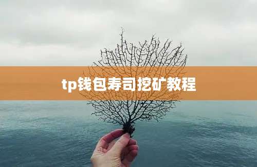 tp钱包寿司挖矿教程