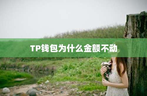TP钱包为什么金额不动