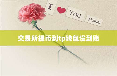 交易所提币到tp钱包没到账
