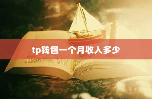 tp钱包一个月收入多少