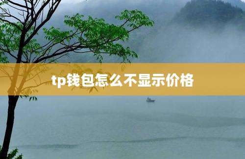 tp钱包怎么不显示价格