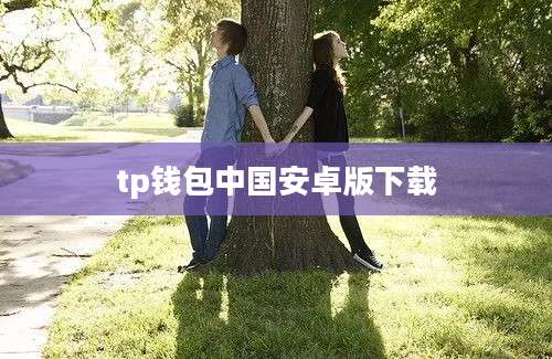 tp钱包中国安卓版下载
