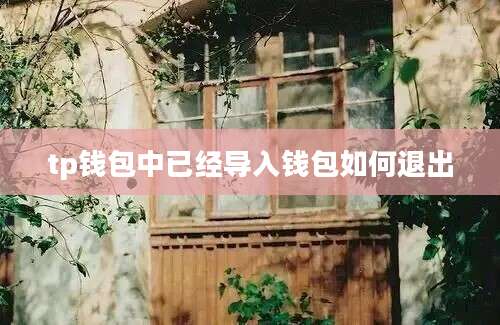 tp钱包中已经导入钱包如何退出