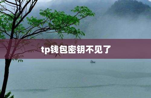 tp钱包密钥不见了