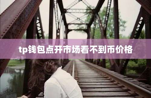 tp钱包点开市场看不到币价格