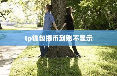 tp钱包提币到账不显示
