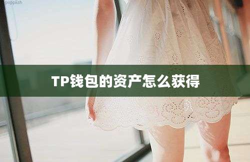 TP钱包的资产怎么获得