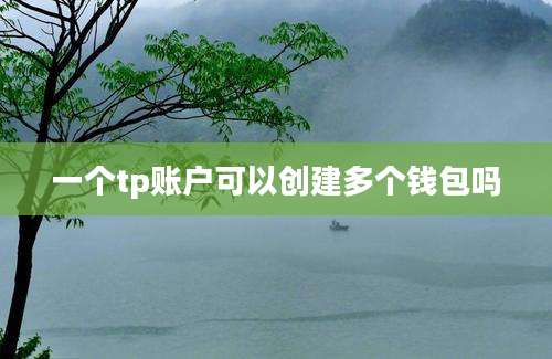 一个tp账户可以创建多个钱包吗