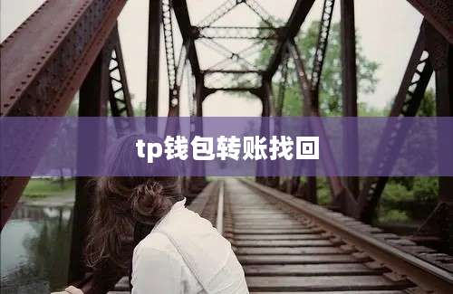 tp钱包转账找回