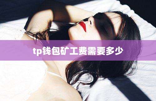 tp钱包矿工费需要多少