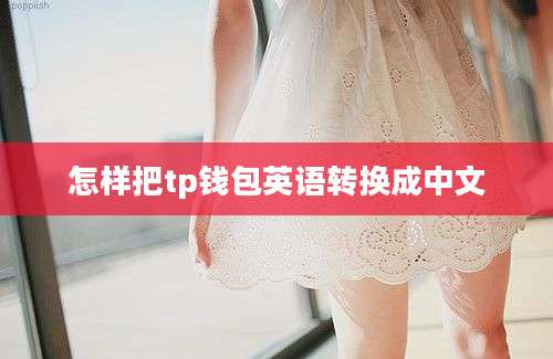 怎样把tp钱包英语转换成中文