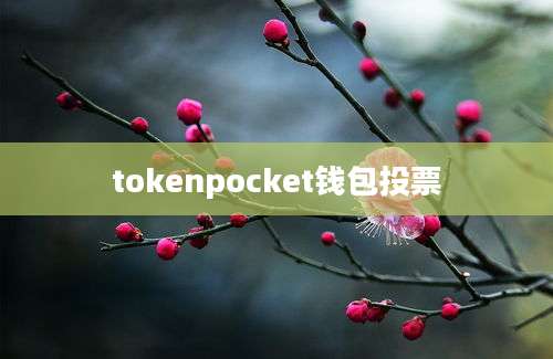 tokenpocket钱包投票