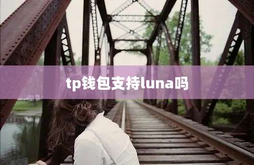 tp钱包支持luna吗