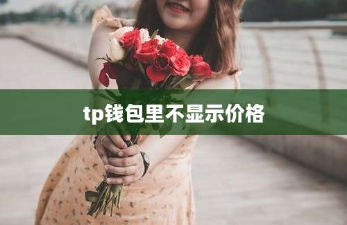 tp钱包里不显示价格