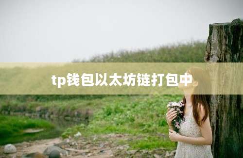 tp钱包以太坊链打包中
