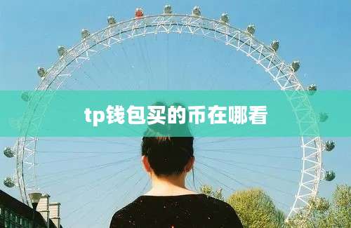 tp钱包买的币在哪看