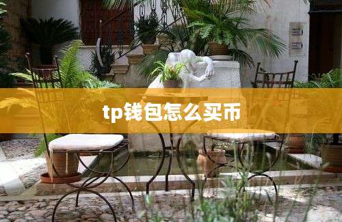 tp钱包怎么买币