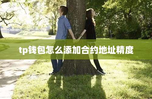 tp钱包怎么添加合约地址精度
