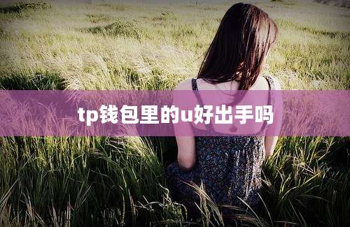 tp钱包里的u好出手吗