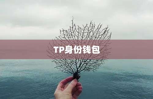 TP身份钱包