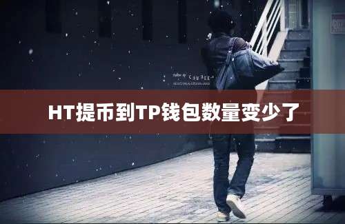 HT提币到TP钱包数量变少了