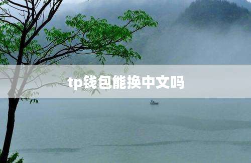 tp钱包能换中文吗