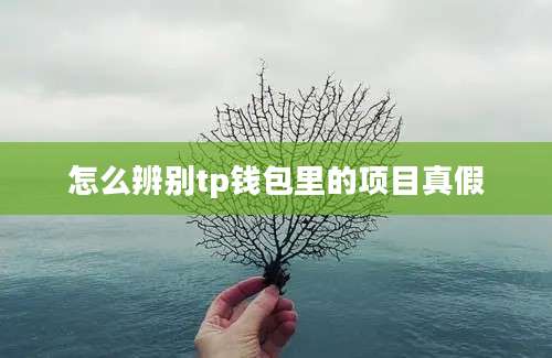 怎么辨别tp钱包里的项目真假
