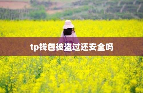 tp钱包被盗过还安全吗