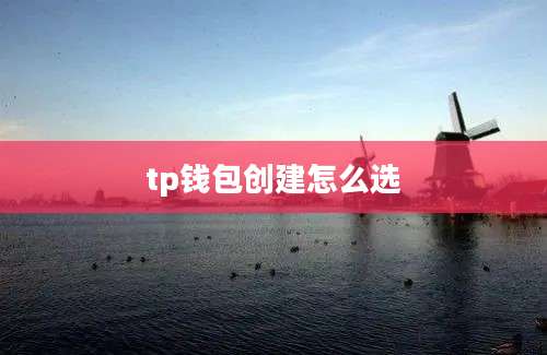 tp钱包创建怎么选