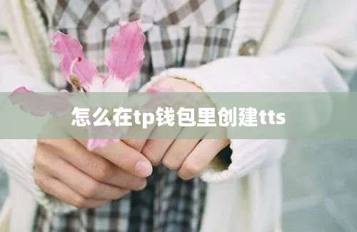 怎么在tp钱包里创建tts