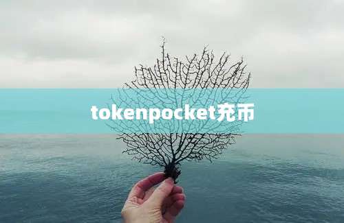 tokenpocket充币