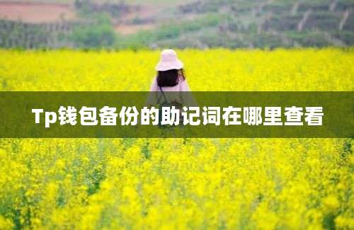 Tp钱包备份的助记词在哪里查看
