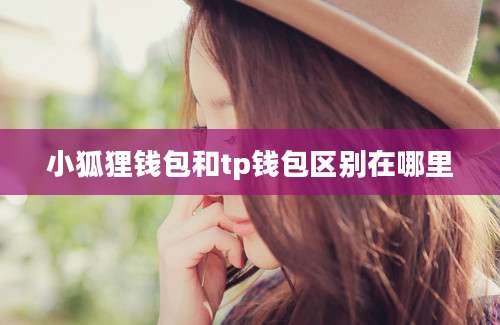 小狐狸钱包和tp钱包区别在哪里