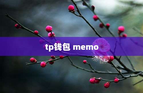 tp钱包 memo