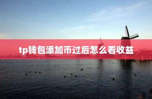 tp钱包添加币过后怎么看收益