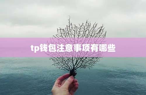 tp钱包注意事项有哪些