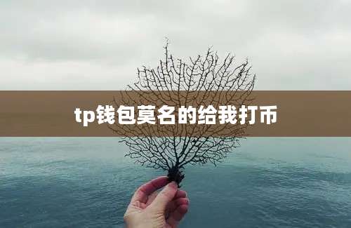 tp钱包莫名的给我打币