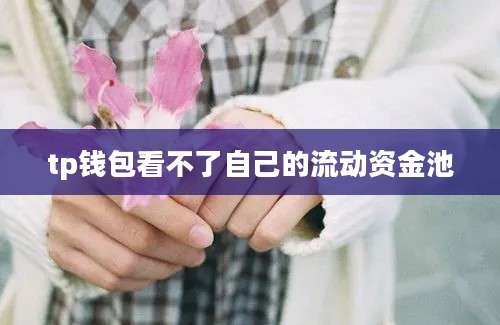 tp钱包看不了自己的流动资金池