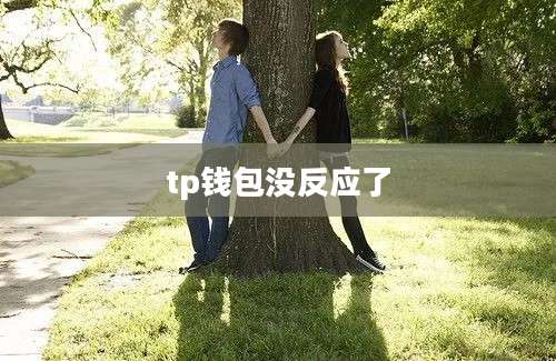tp钱包没反应了