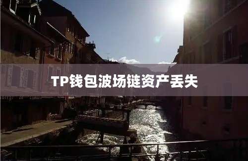 TP钱包波场链资产丢失